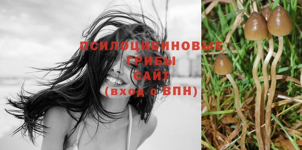 стафф Алексеевка