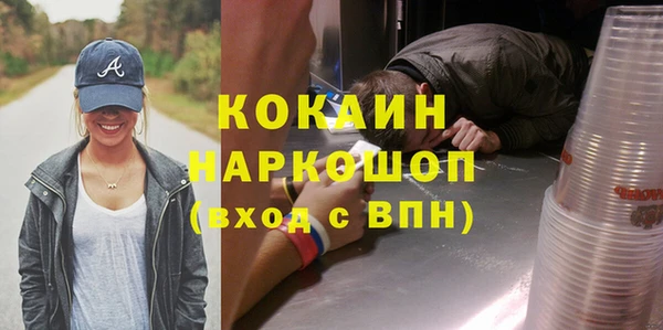 гидра Алексин